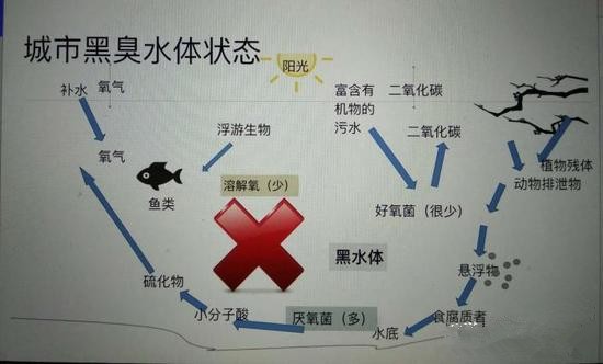 江蘇億元投資治污新技術(shù) 石墨烯能否治理黑臭水體？