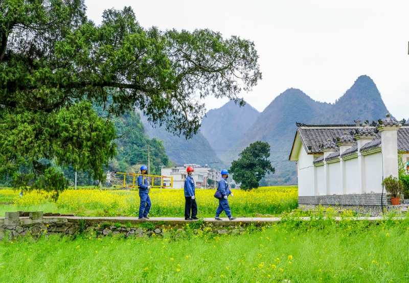 平塘供電局：“網(wǎng)格化”服務(wù)，護(hù)航“菜籃子”