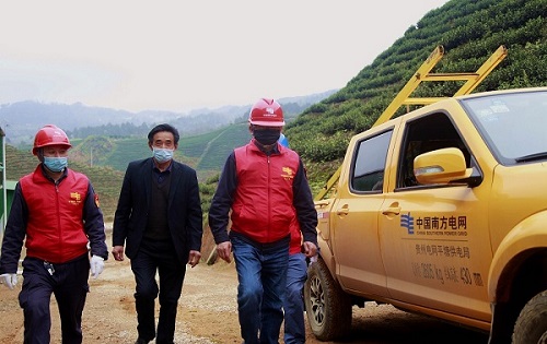 平塘供電局：“加減法”同構(gòu)服務(wù)，護(hù)航“貴州春茶第一壺”