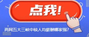 國網(wǎng)南網(wǎng)華能大唐國家能源三峽中核人均薪酬哪家強？