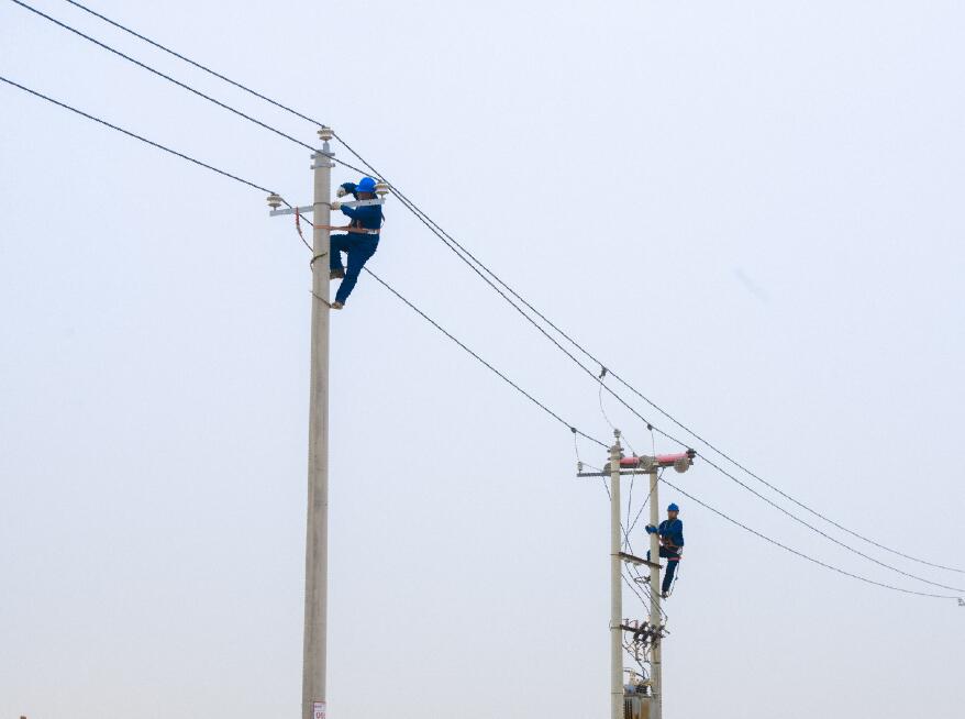 阿拉善供電公司：電網(wǎng)健康“體檢”，從登桿開(kāi)始