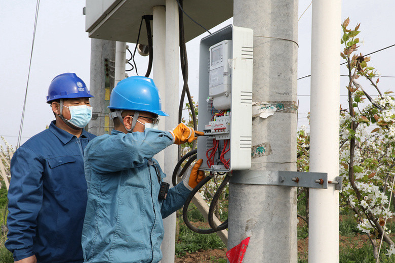 國網(wǎng)諸城市供電公司電力足，千畝梨園花正濃