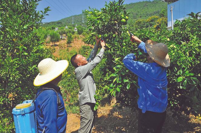 王國洲：把村事當家事，把村民當親人