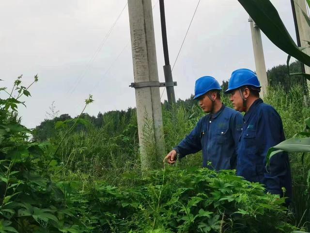 國網(wǎng)長春供電公司積極應(yīng)對極端天氣，確保線路設(shè)備穩(wěn)定運行