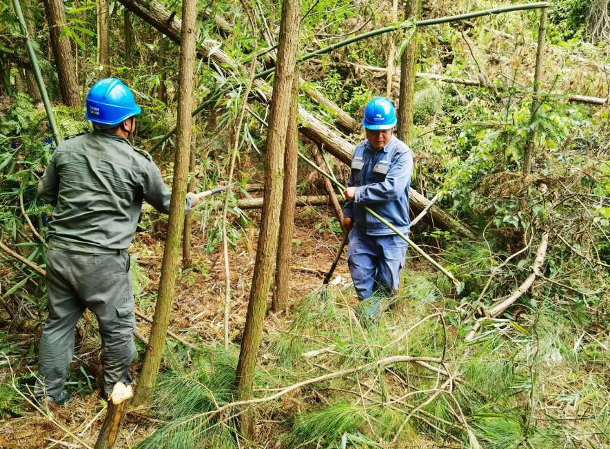 南方電網(wǎng)荔波供電局線路憂患如“猛獸”，通道清通要爭先