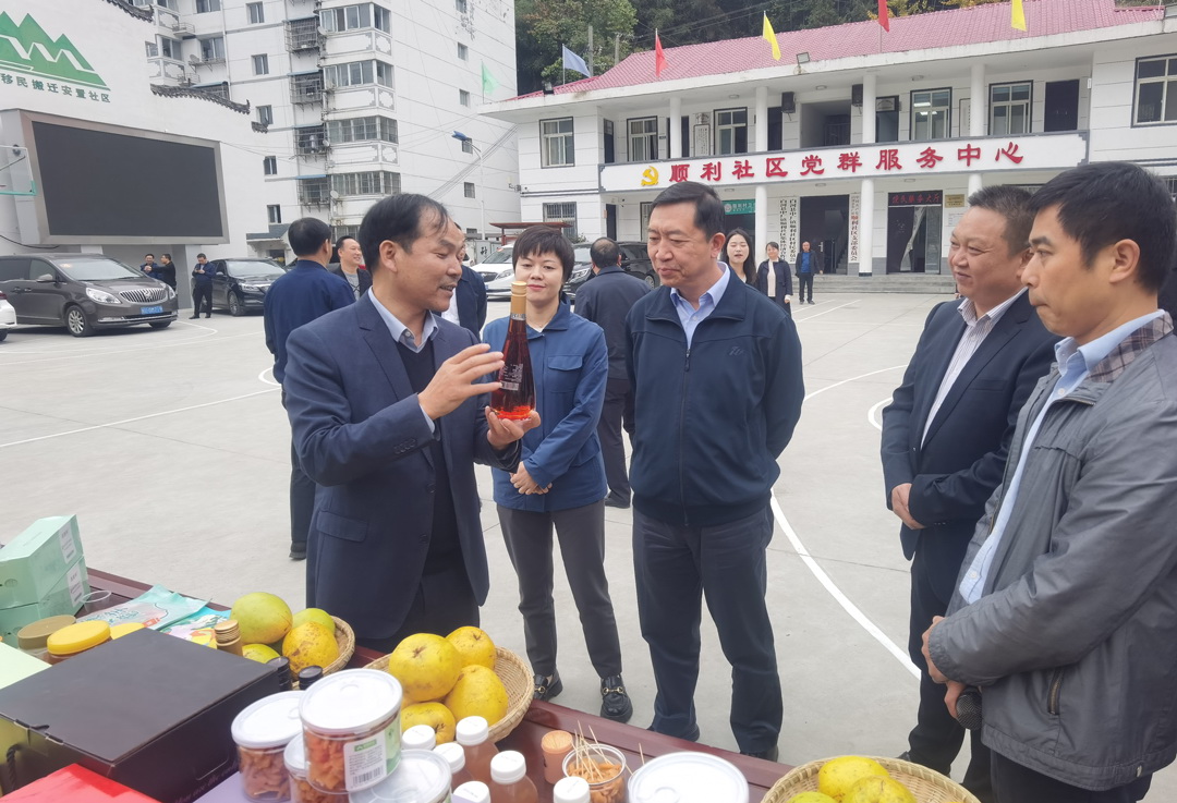 中核集團總經(jīng)理、黨組副書記顧軍赴陜西白河、旬陽調(diào)研鄉(xiāng)村振興工作
