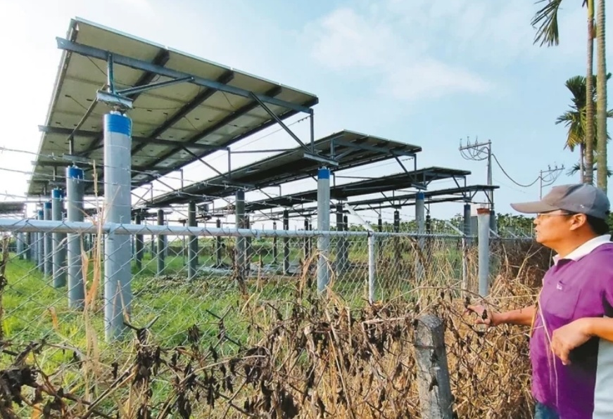 臺(tái)媒：農(nóng)田“種電”讓農(nóng)民苦不堪言，島內(nèi)面臨農(nóng)電兩失困境