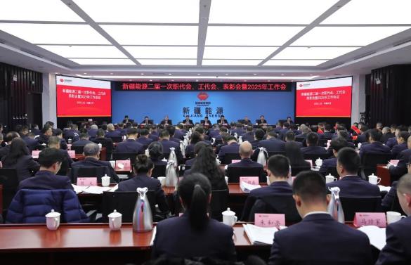 國能新疆能源召開二屆一次職代會、工代會、表彰會暨2025年工作會