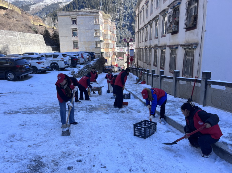 挺膺擔當志愿服務，清冰除雪保障安全