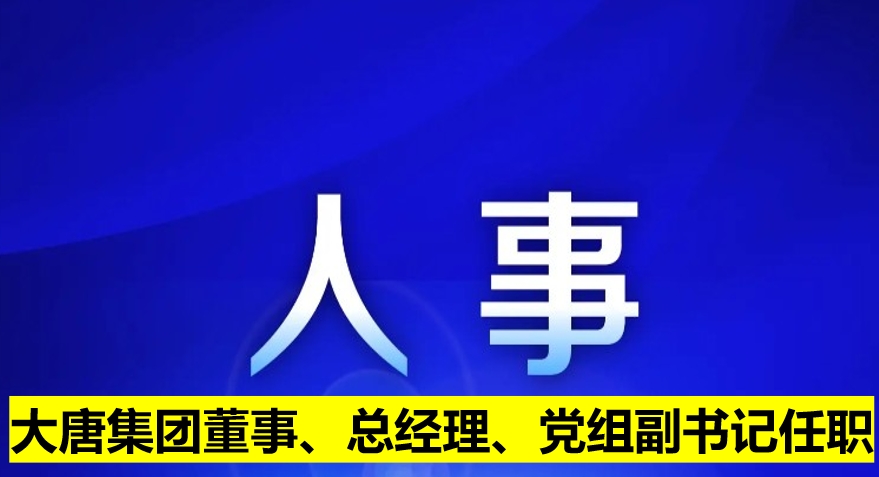 大唐集團(tuán)董事、總經(jīng)理、黨組副書記任職
